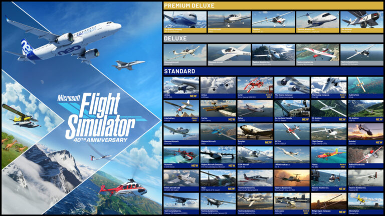 flight simulator