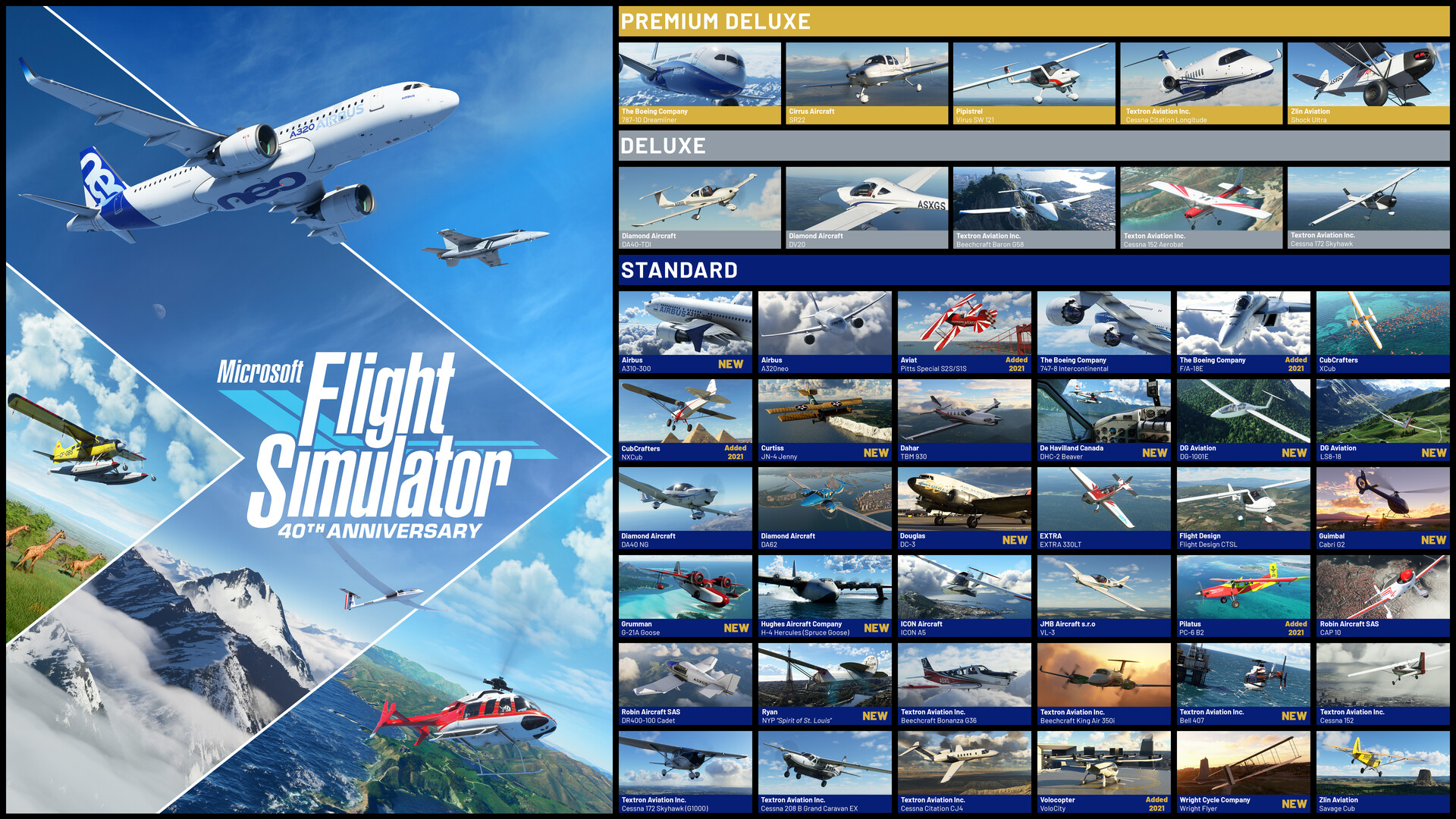 flight simulator